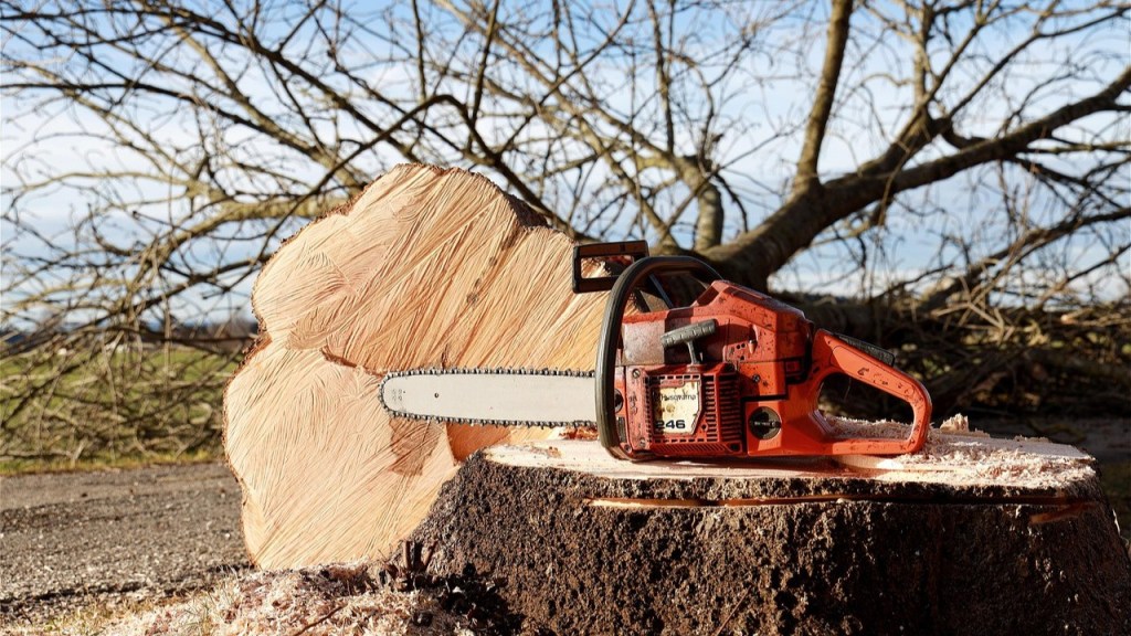 A chainsaw resting on a freshly cut tree stump, with wood shavings scattered around and bare branches in the background under a blue sky.